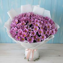 Букет цветов из:  Хризантемы в Деревне Барвиха